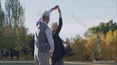 幸福的老年夫妇在公园里跳舞
